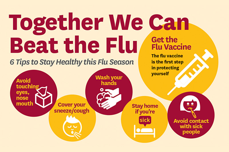 How to Prevent the Flu